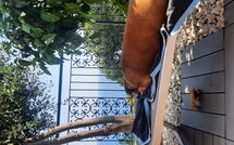 Photos éffectuées par les clients de Orizzonte