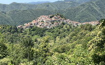 Photos éffectuées par les clients de Broccolo