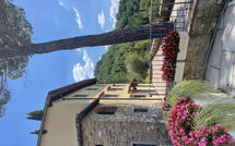 Photos éffectuées par les clients de Il Gheppio