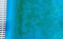 Photos éffectuées par les clients de Tenuta di Campagliana