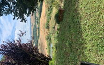 Photos éffectuées par les clients de Lajatico 602