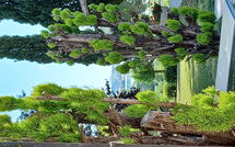 Photos éffectuées par les clients de Poggio Falcone