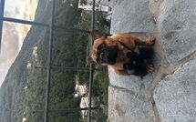 Photos éffectuées par les clients de Belvedere, House with Private Pool and Garden, Rec