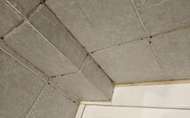 Photos éffectuées par les clients de Marina di Bibbona 150