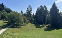 Photos éffectuées par les clients de Alpe