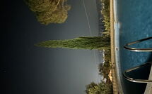 Photos éffectuées par les clients de Villino Alba