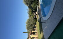 Photos éffectuées par les clients de Villa Il Cipresso