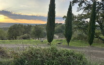 Photos éffectuées par les clients de Podere Orietta