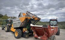 Photos éffectuées par les clients de Sole nel Prato