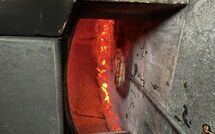 Photos éffectuées par les clients de Giorgio Winery