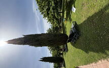 Photos éffectuées par les clients de Il Casale