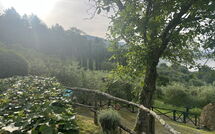 Photos éffectuées par les clients de Villa Flora