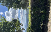 Photos éffectuées par les clients de Casolare Ser Chelino