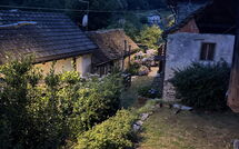 Photos éffectuées par les clients de Il Gianlupo Grigio