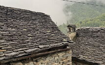 Photos éffectuées par les clients de Il Gianlupo Grigio