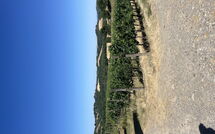 Photos éffectuées par les clients de Villa le Buche