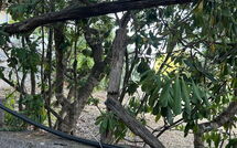 Photos éffectuées par les clients de Von Salis