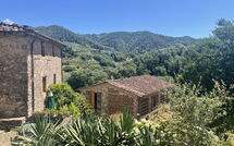 Photos éffectuées par les clients de Bottino