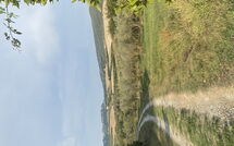 Photos éffectuées par les clients de Cuccardino