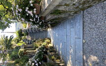 Photos éffectuées par les clients de Gianni