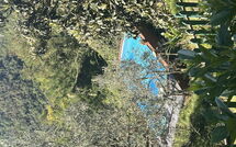 Photos éffectuées par les clients de Il Castagneto