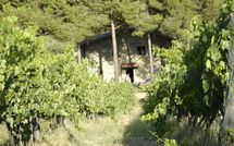 Photos éffectuées par les clients de Montescalari