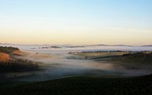 Photos éffectuées par les clients de Podere Cunina