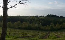 Photos éffectuées par les clients de Borgo Tollena