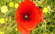 Photos éffectuées par les clients de Paradiso