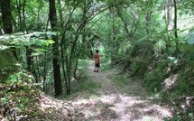 Photos éffectuées par les clients de Il Palazzetto