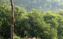 Photos éffectuées par les clients de Fattoria Buonconvento