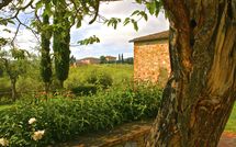 Photos éffectuées par les clients de Agriturismo la Papessa