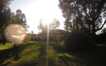 Photos éffectuées par les clients de Maria Vittoria