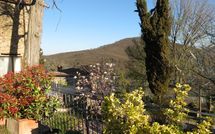 Photos éffectuées par les clients de Villa Fabbroni - Fattoria San Polo