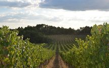 Photos éffectuées par les clients de Podere Il Doccio