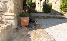 Photos éffectuées par les clients de Borgo del Castagno