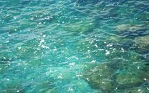 Photos éffectuées par les clients de Pellegrinetti