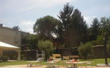 Photos éffectuées par les clients de Flavia