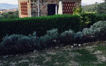 Photos éffectuées par les clients de Isidoro