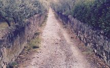 Photos éffectuées par les clients de Villa Eden