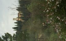 Photos éffectuées par les clients de Villa Cinzia