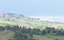 Photos éffectuées par les clients de Massi