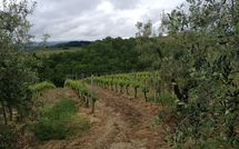 Photos éffectuées par les clients de Massi