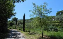 Photos éffectuées par les clients de Podere San Bono