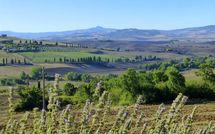 Photos éffectuées par les clients de Fonte All'Oppio