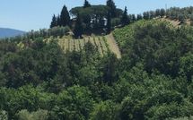 Photos éffectuées par les clients de Villa Fabbiolle All'Impruneta