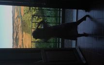 Photos éffectuées par les clients de Villa di Montelopio