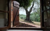 Photos éffectuées par les clients de Il Meleto