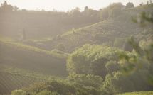 Photos éffectuées par les clients de Agriturismo Paterno