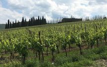 Photos éffectuées par les clients de Casalta di Pesa